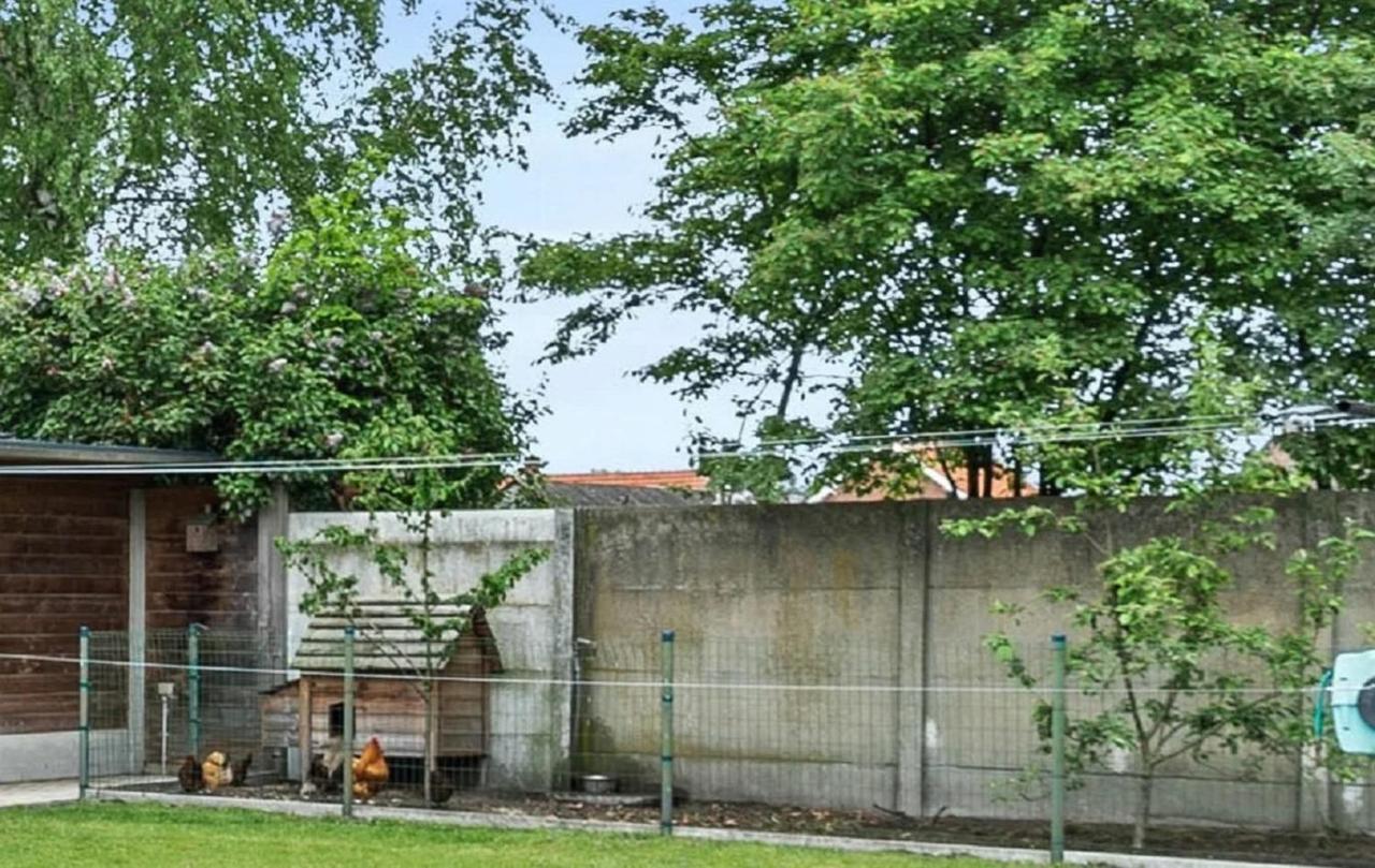 An'S Vakantiehuisje Dessel Exteriér fotografie